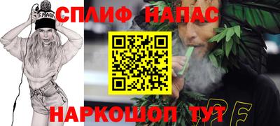 МДПВ Можга