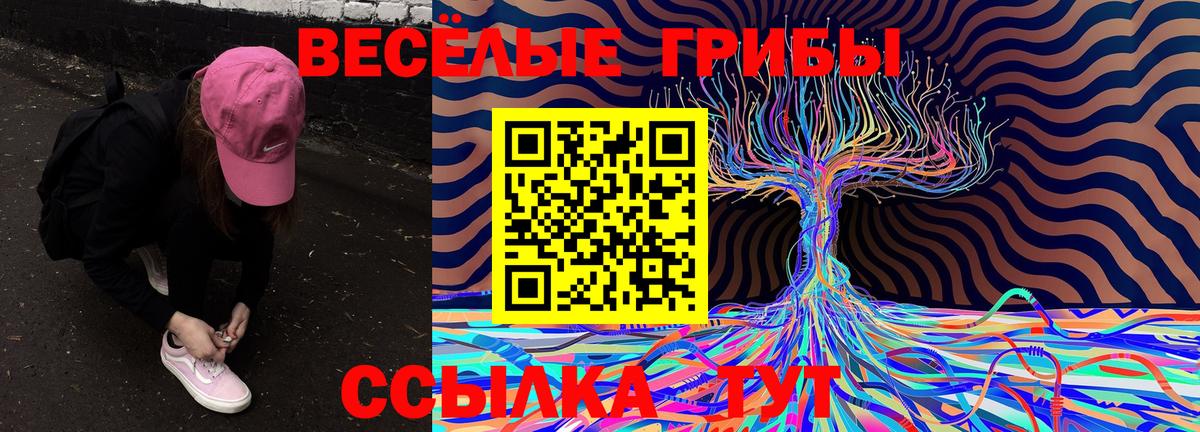 Псилоцибиновые грибы прущие грибы  Вход с VPN  Донской 