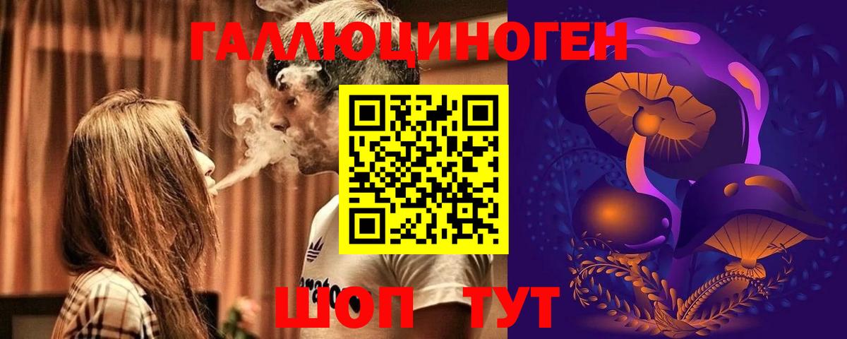 Псилоцибиновые грибы Psilocybe  продажа наркотиков  Донской  Галлюциногенные грибы Psilocybe 